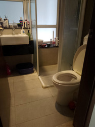 Palm Vista (D15), Apartment #576103721